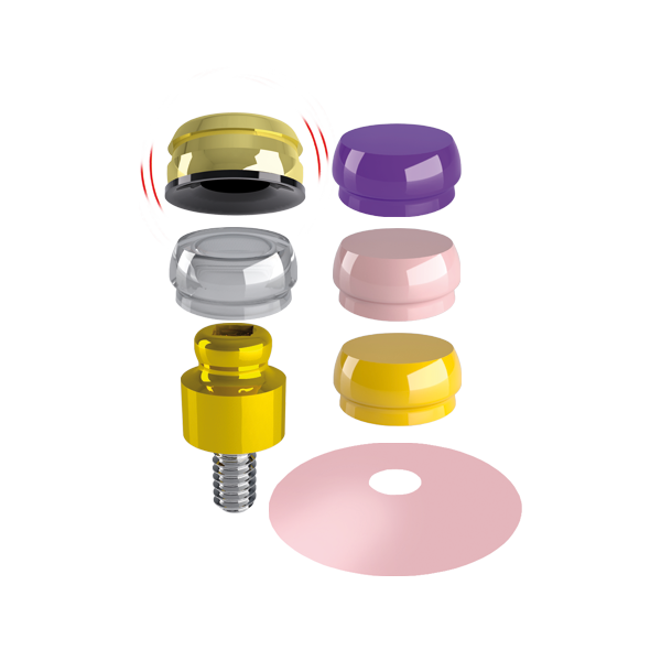 OT Equator (TiN) i Smartbox - zestaw do implantów - 1 kpl.